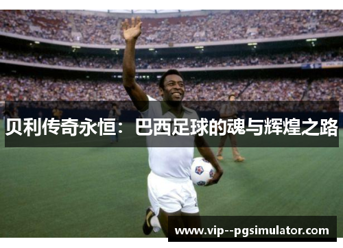 贝利传奇永恒：巴西足球的魂与辉煌之路