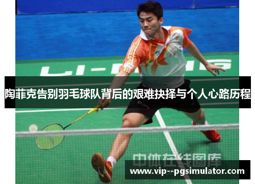 陶菲克告别羽毛球队背后的艰难抉择与个人心路历程