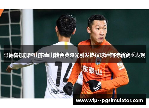 马德鲁加加盟山东泰山转会费曝光引发热议球迷期待新赛季表现