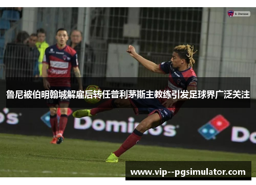 鲁尼被伯明翰城解雇后转任普利茅斯主教练引发足球界广泛关注