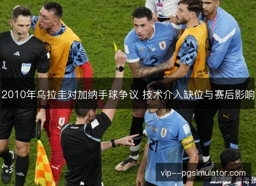 2010年乌拉圭对加纳手球争议 技术介入缺位与赛后影响 2010年乌拉圭对加纳手球争议 技术介入缺位与赛后影响